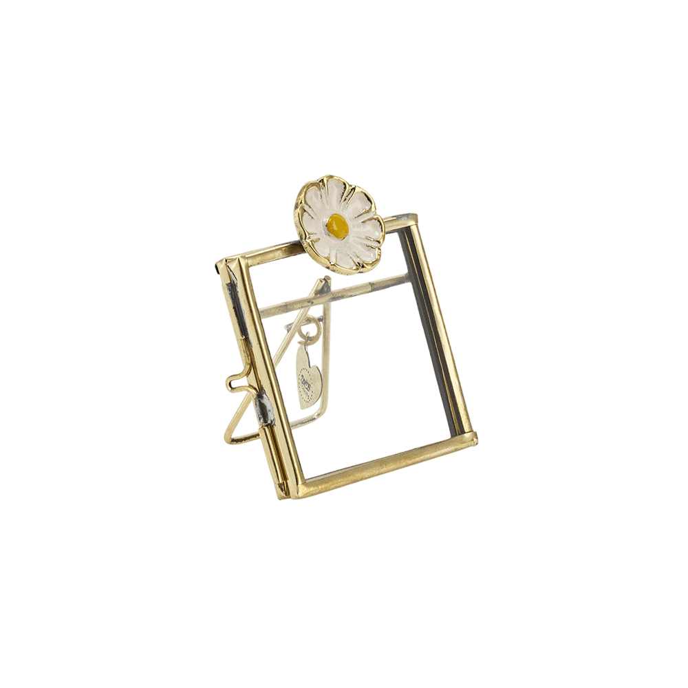 Posy Daisy Frame Mini