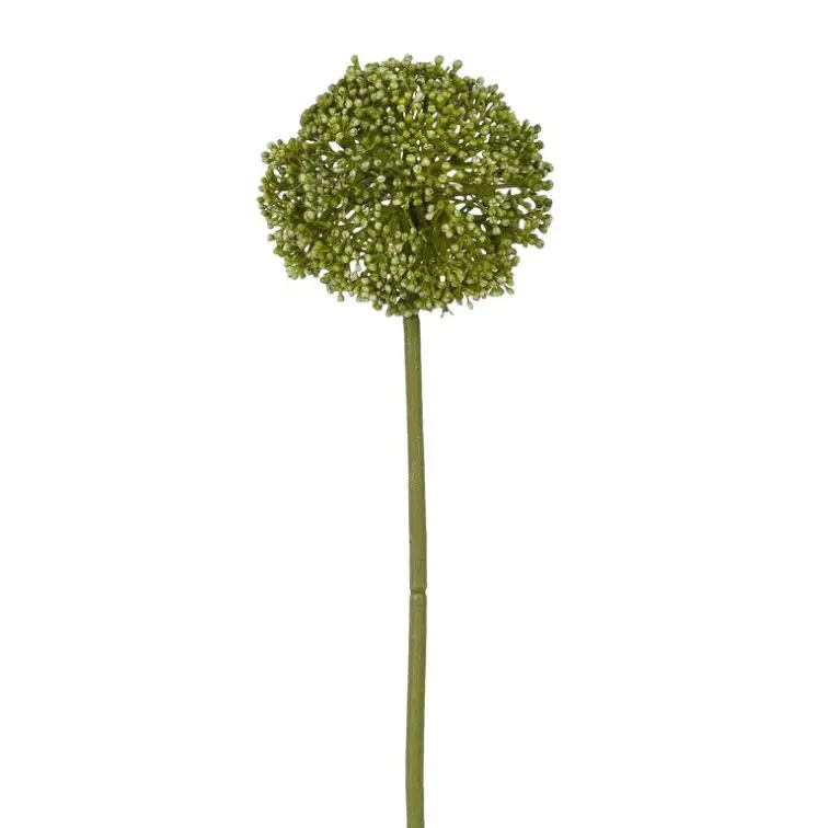 Allium groen 60 cm