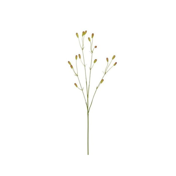 Sanguisorba bruin 77 cm