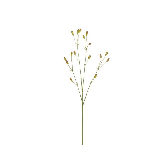 Sanguisorba bruin 77 cm