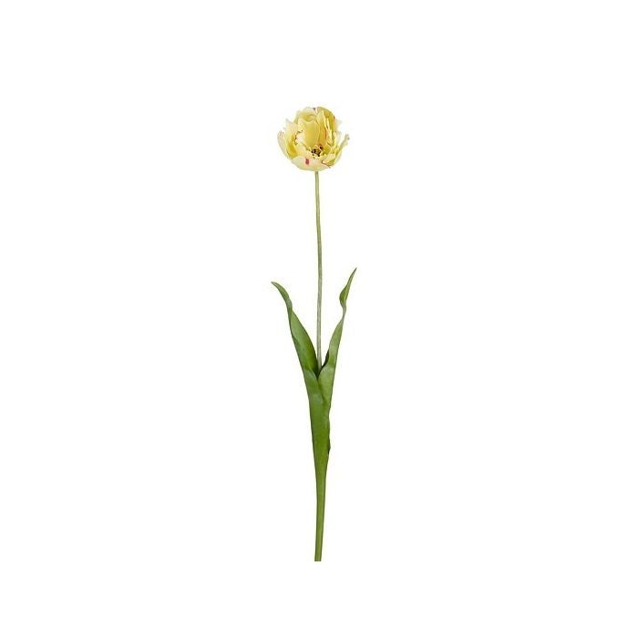 Tulp groen 71 cm
