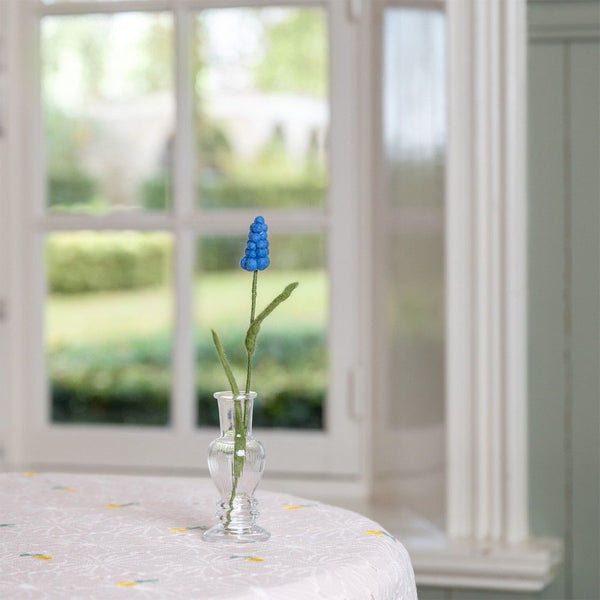 Bloem Blauw Druifje