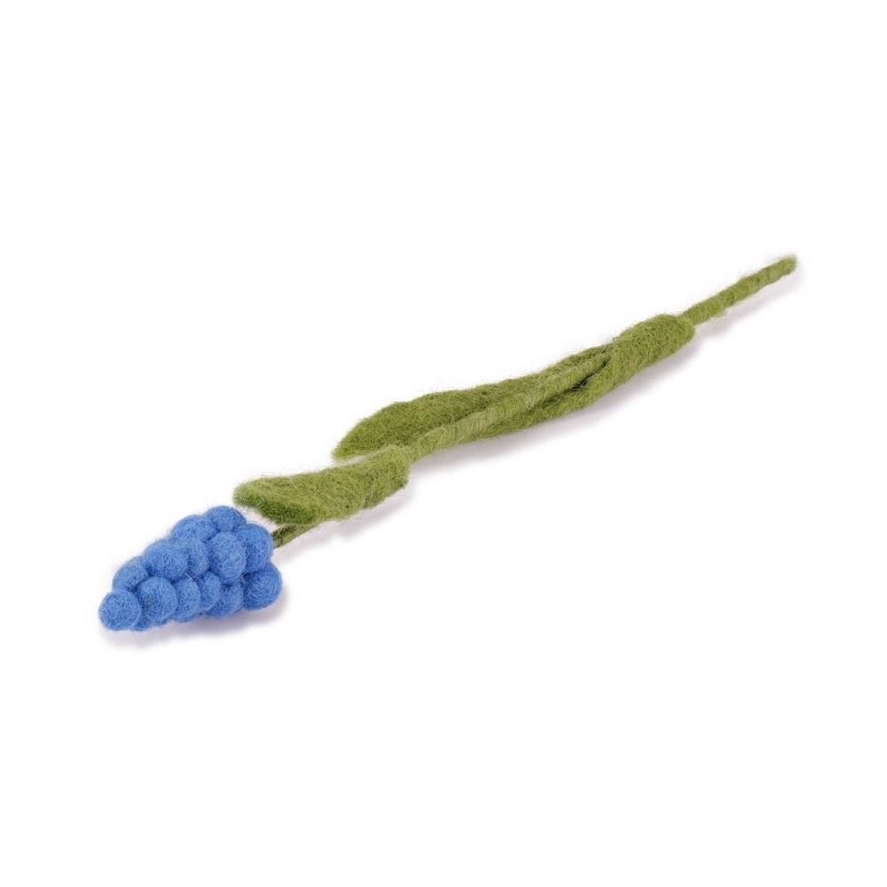 Bloem Blauw Druifje