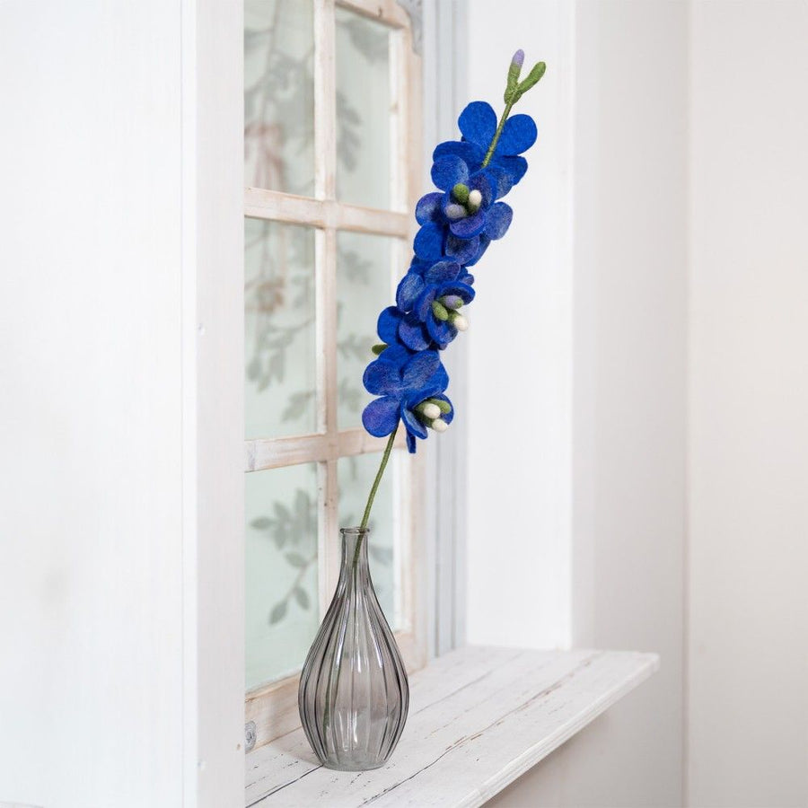 Bloem Ridderspoor Blauw
