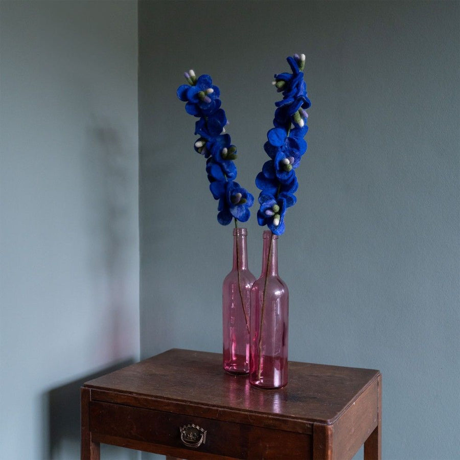 Bloem Ridderspoor Blauw
