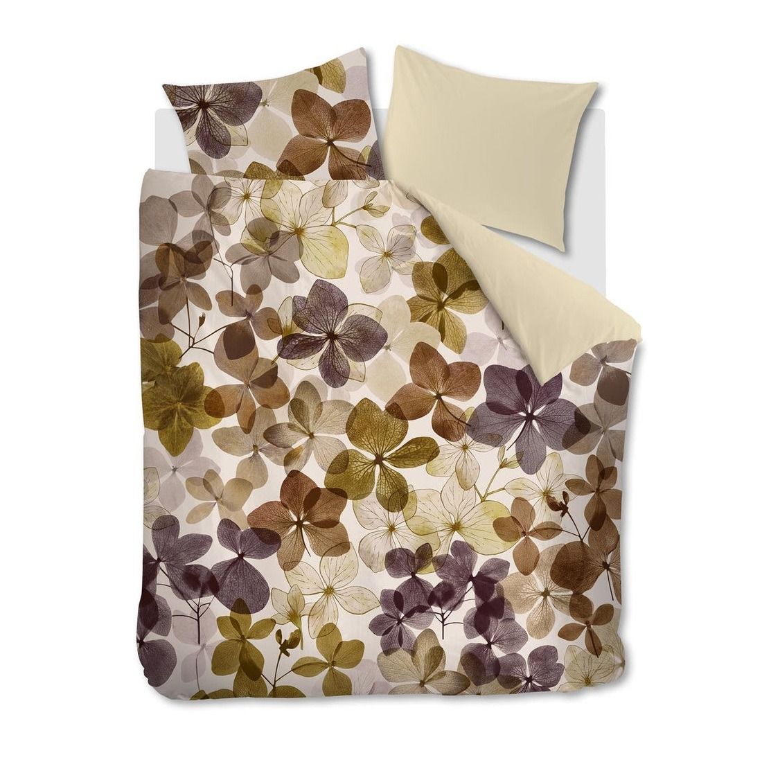 BH Cilla Multi 240x200/220