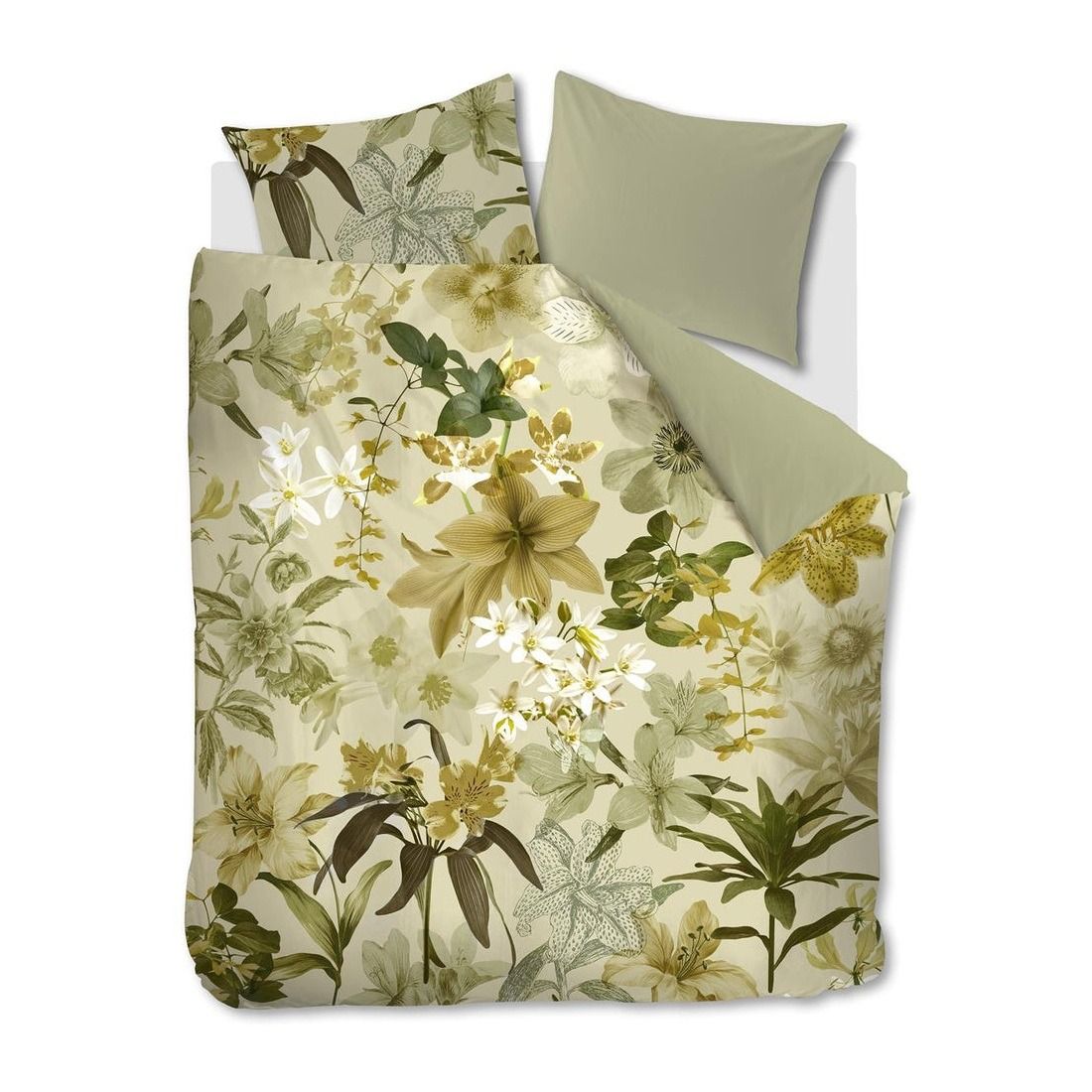 BH Kiley Green 200x200/220