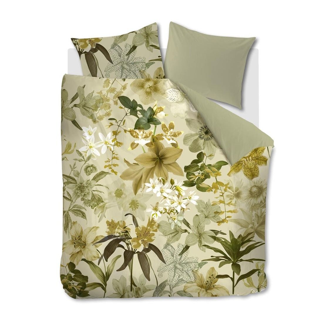 BH Kiley Green 240x200/220