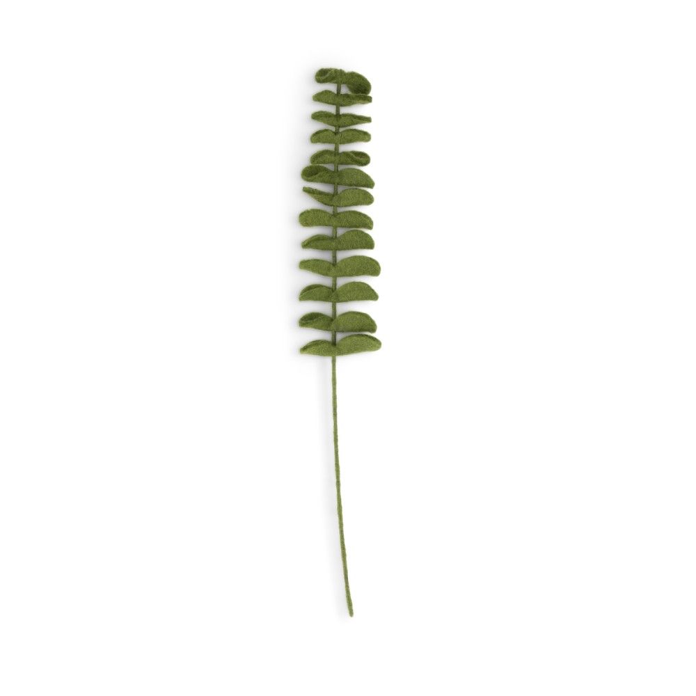 Tak Eucalyptus