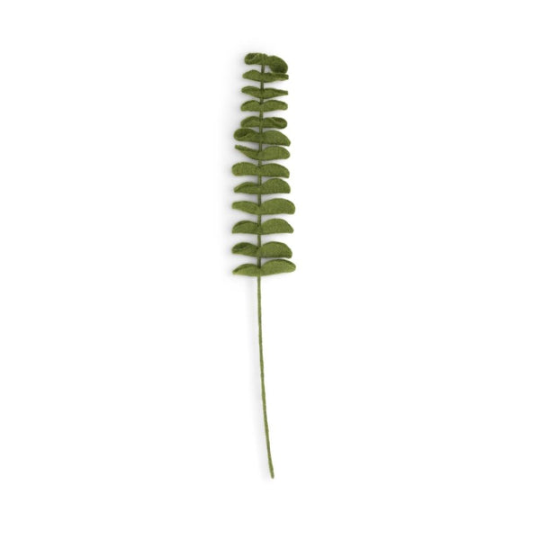 Tak Eucalyptus