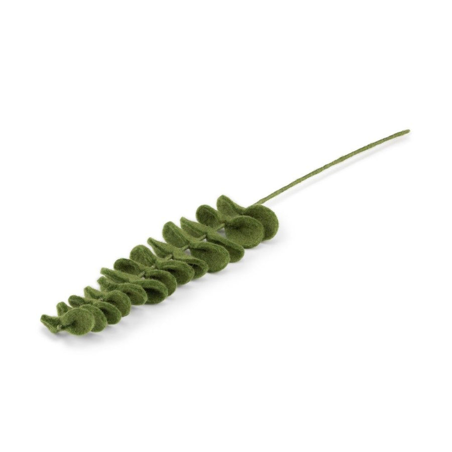 Tak Eucalyptus