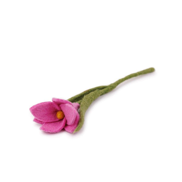 Krokus Roze