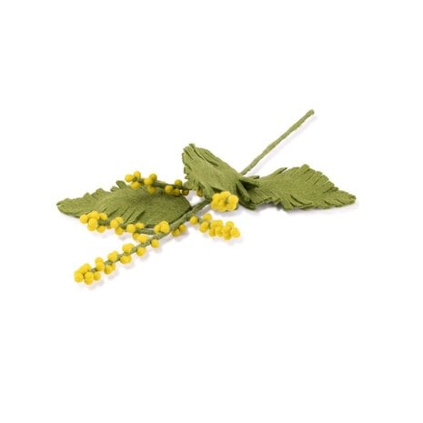 Tak: Mimosa