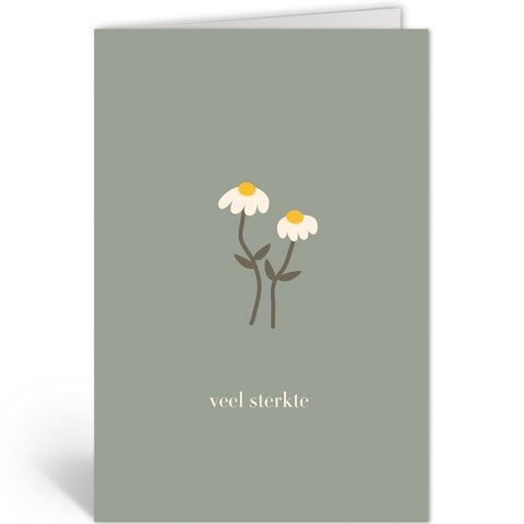 MARGRIETJES