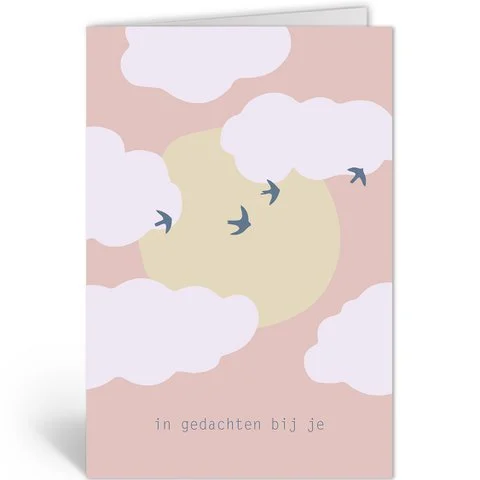 VOGELVLUCHT