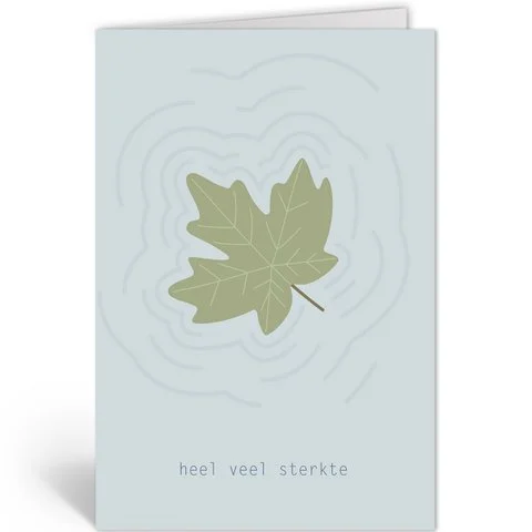 BLAD OP HET WATER
