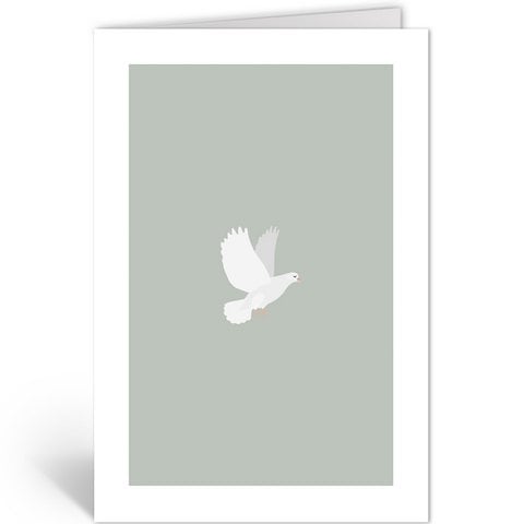 WITTE DUIF