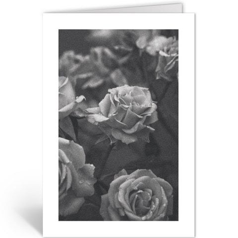 ROZEN