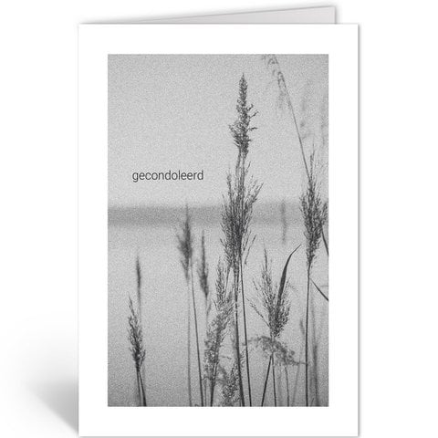 RIET