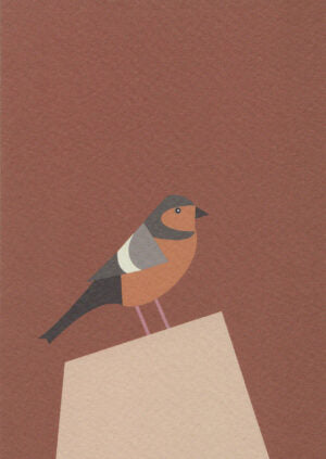 VINK