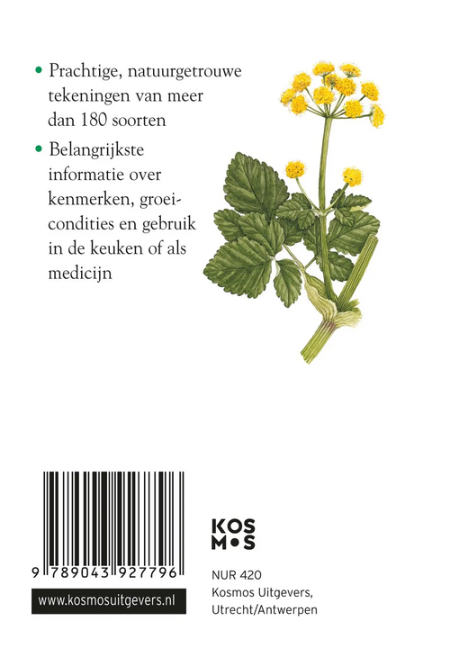 Compactgids - Kruiden