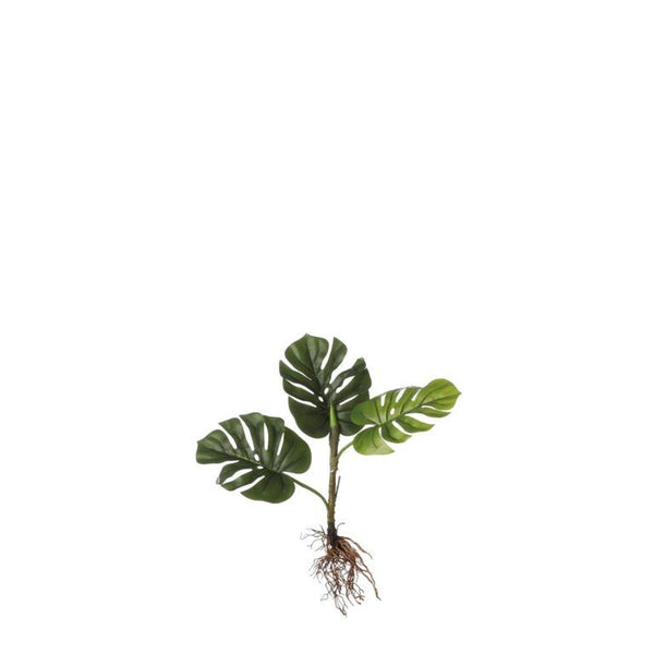 Monstera met wortels groen - l54xb21xh12cm