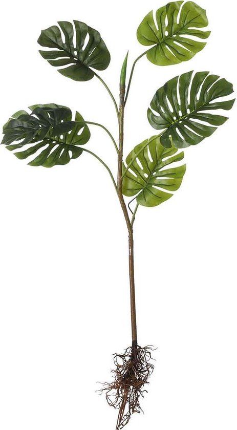 Monstera met wortels groen - l124xb30xh26cm