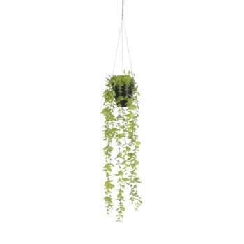 Eucalyptus hangend in pot groen - l54xd9cm
