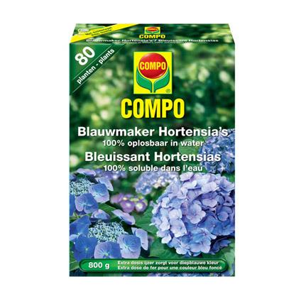Blauwmaker hortensia's