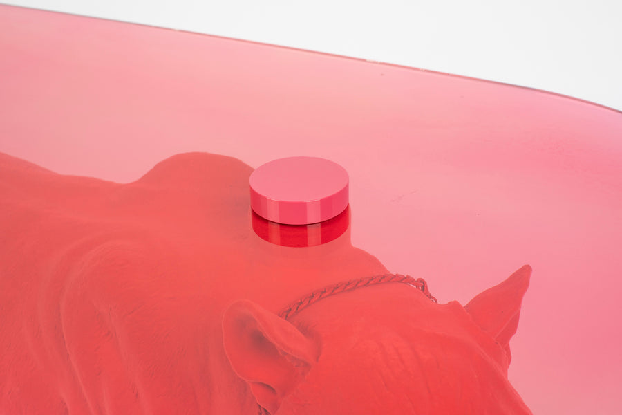 Salontafel dope as hell roze