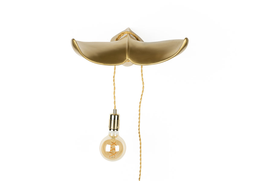 The tail will follow wandlamp goud