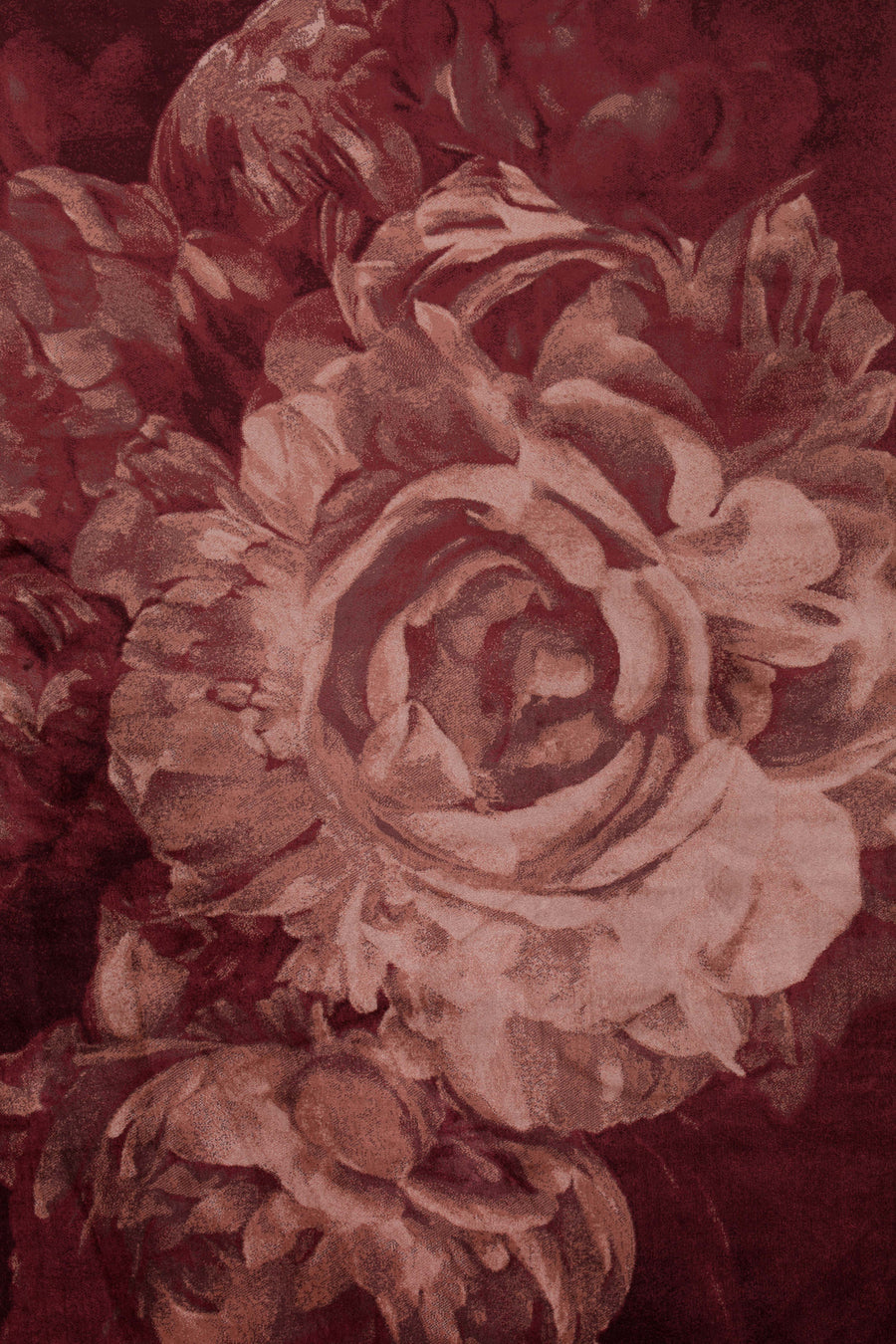 Vloerkleed Stitchy Roses 200x300