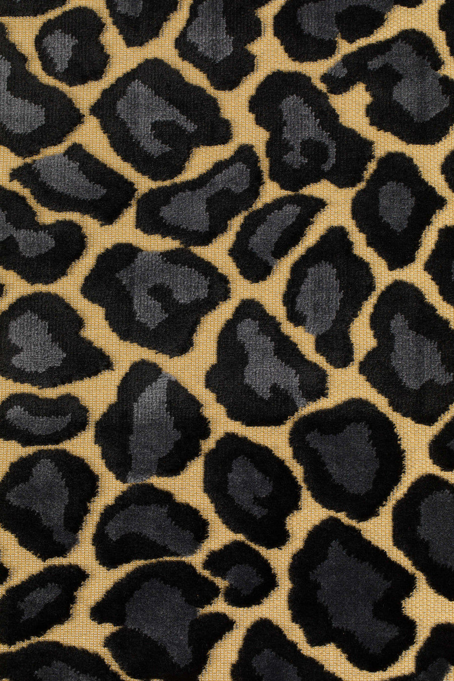 Vloerkleed It's A Wild World Baby Panther 170x240