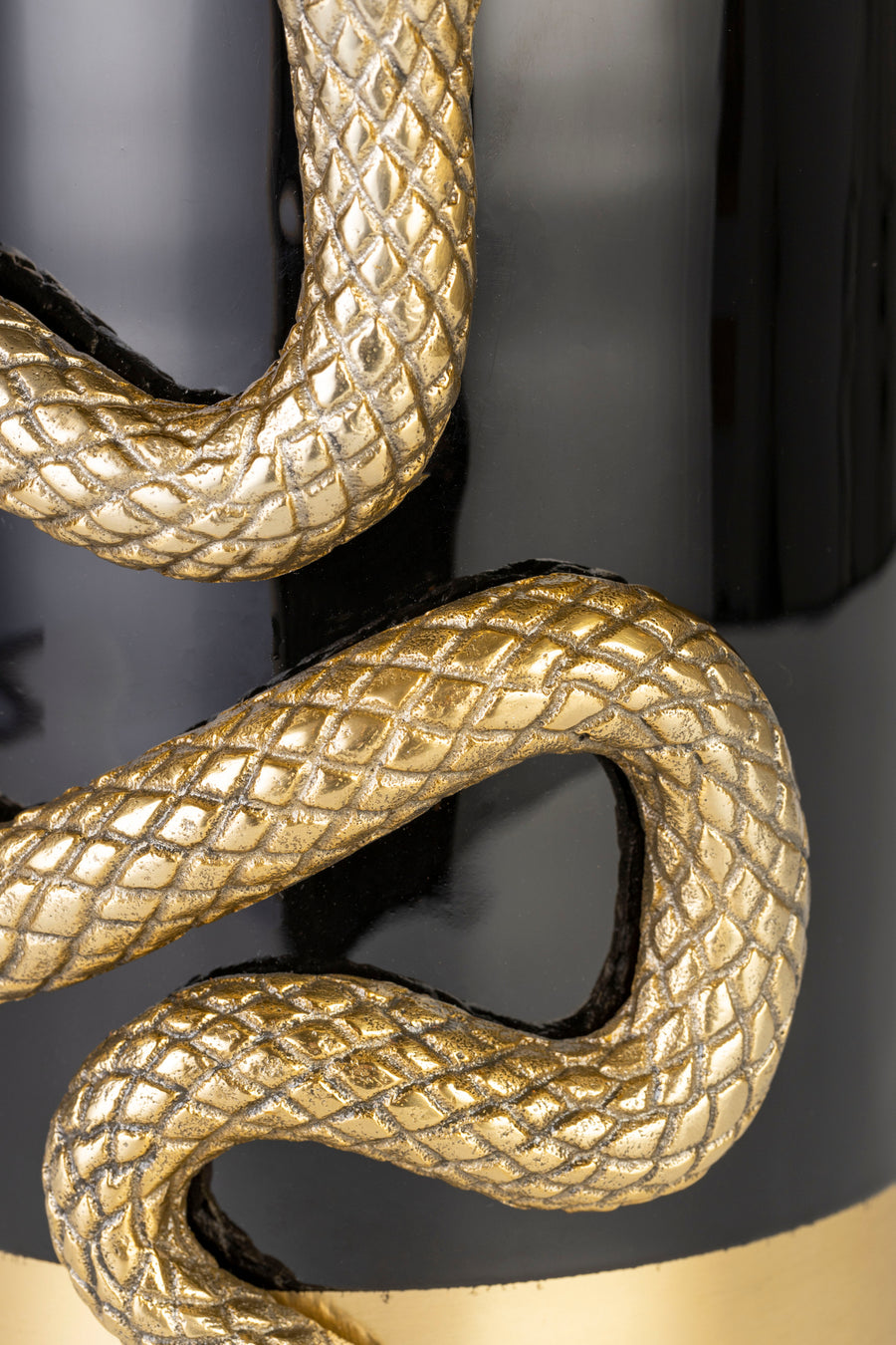 Vaas Never Hurt A Snake M