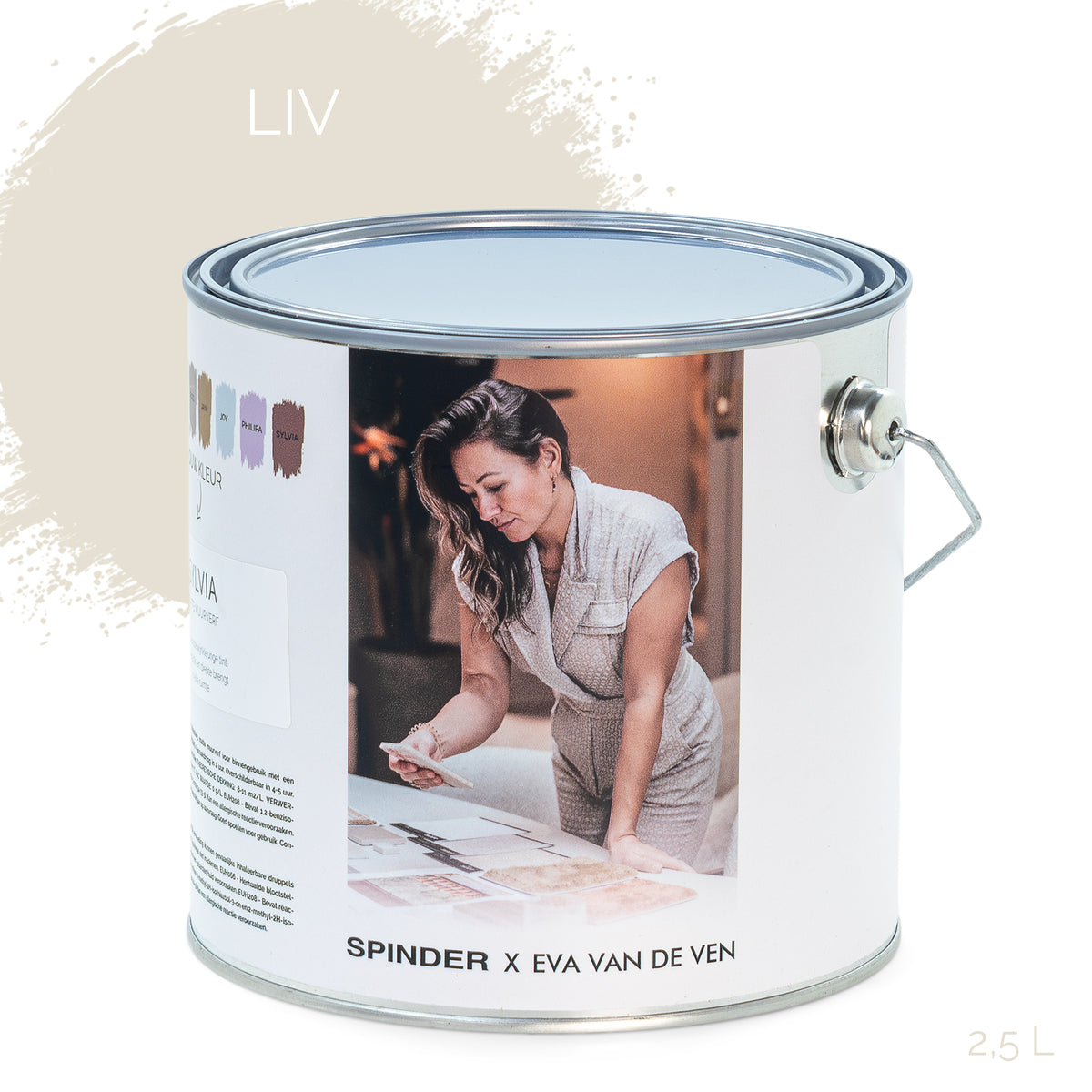 SPINDER X EVA WALL PAINT