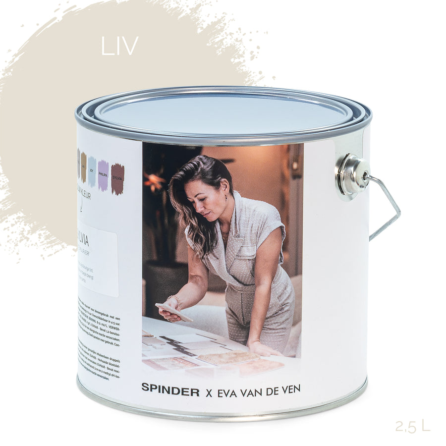 SPINDER X EVA WALL PAINT