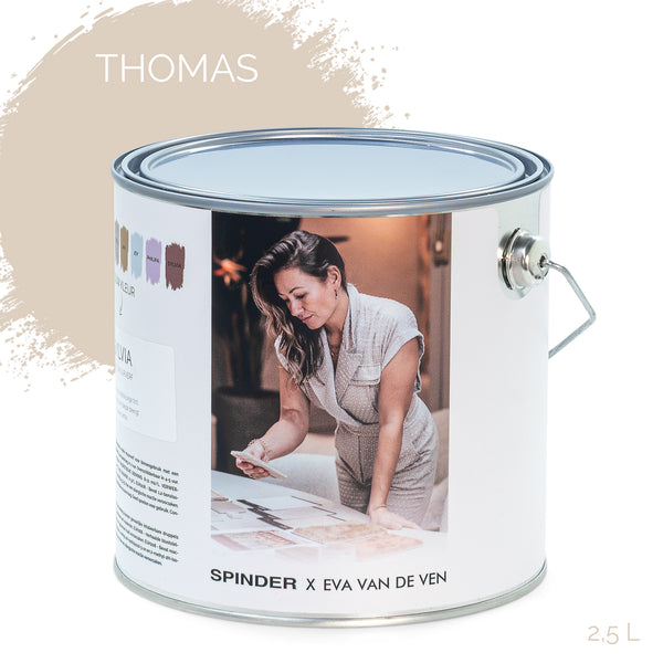 Muurverf Spinder X Eva Wall Paint thomas