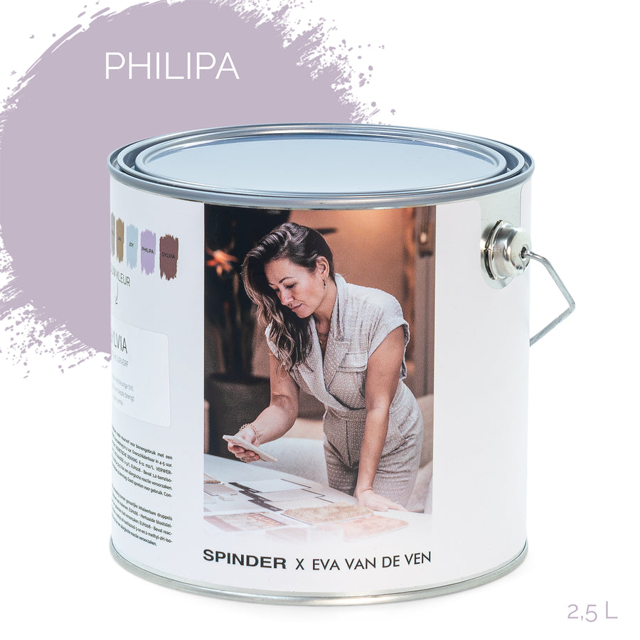 SPINDER X EVA WALL PAINT