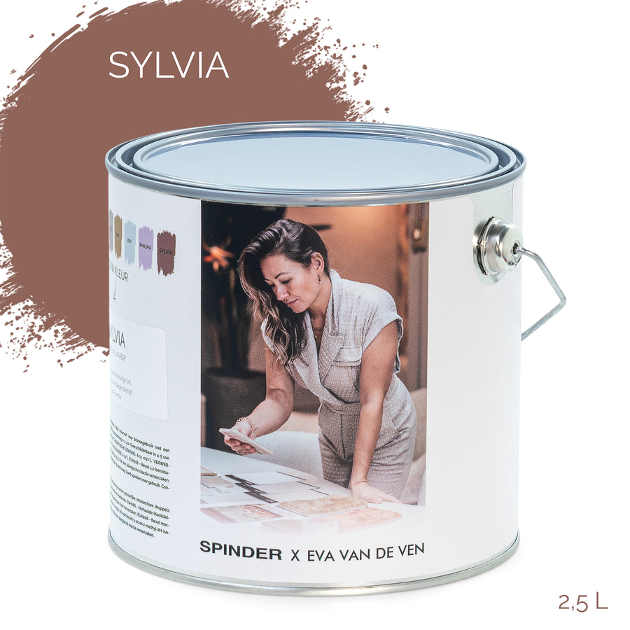 Muurverf Spinder X Eva Wall Paint sylvia