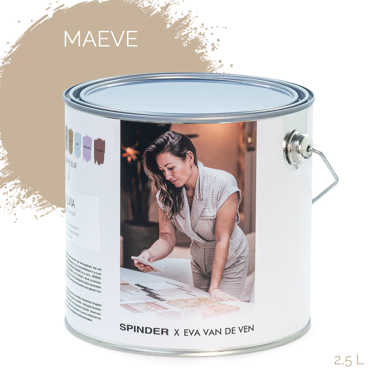 SPINDER X EVA WALL PAINT