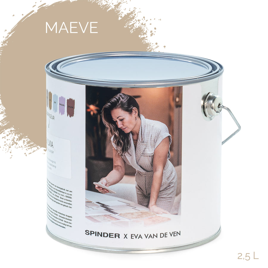 SPINDER X EVA WALL PAINT