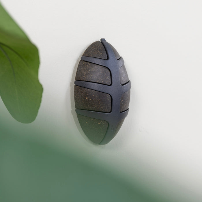 Wandhaak Bug Bio donkerbruin