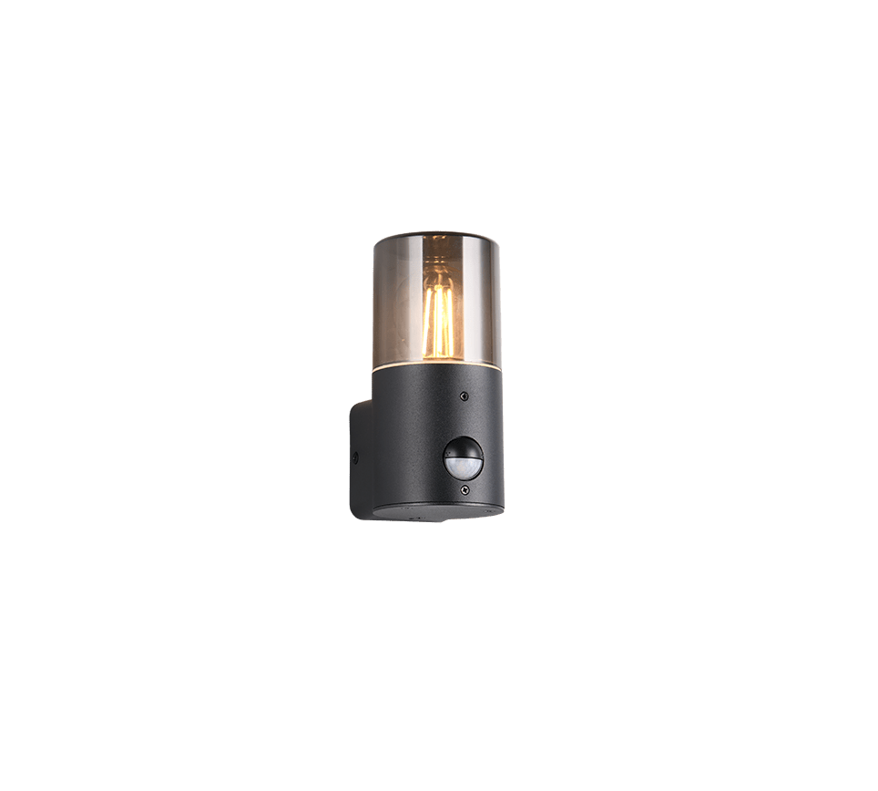 TRIO Wand lamp HOOSIC Buitenverlichting