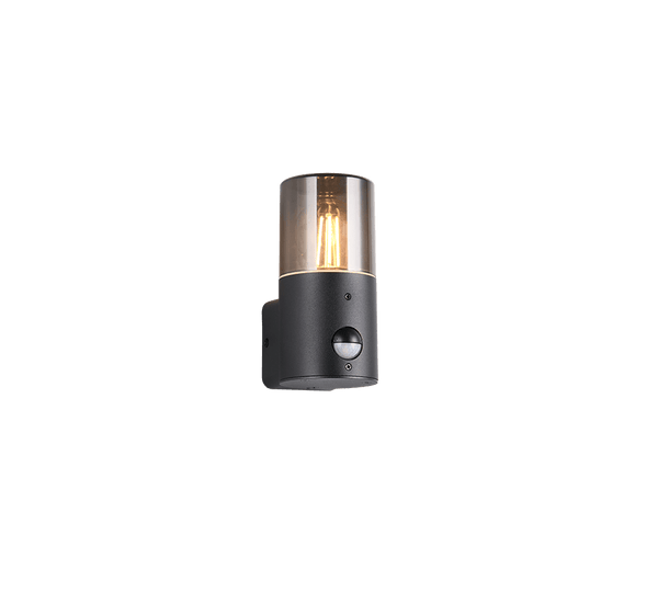 TRIO Wand lamp HOOSIC Buitenverlichting