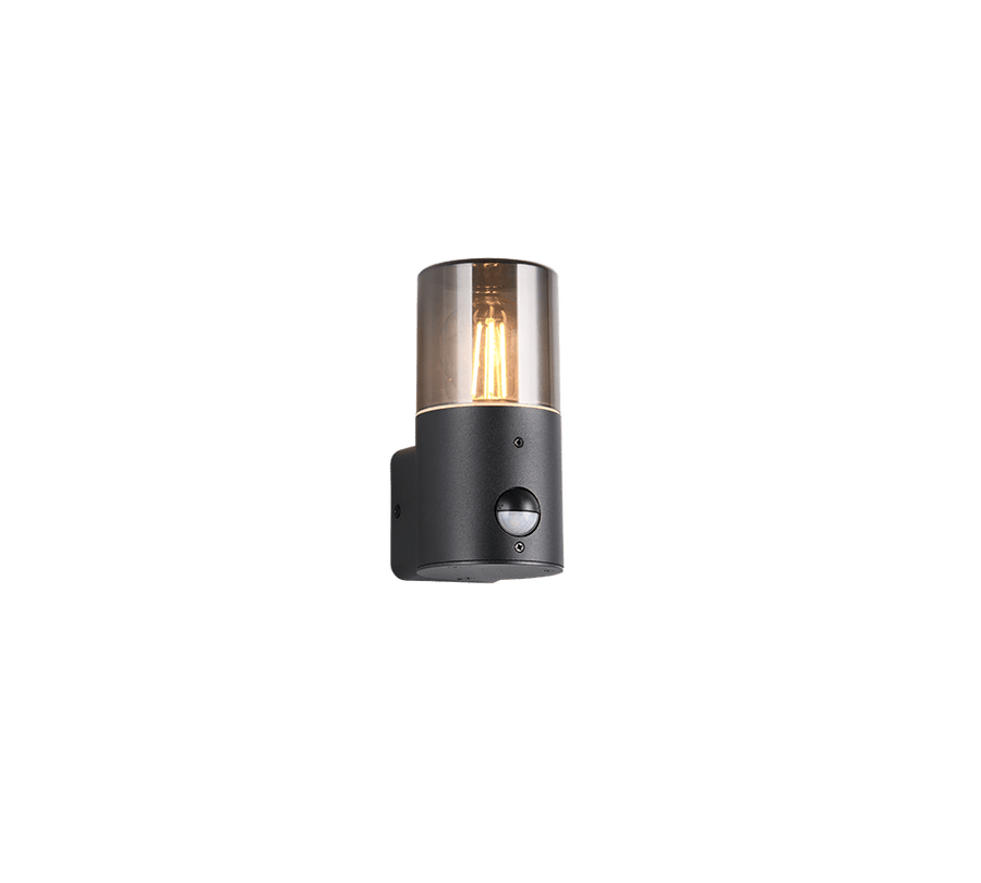TRIO Wand lamp HOOSIC Buitenverlichting