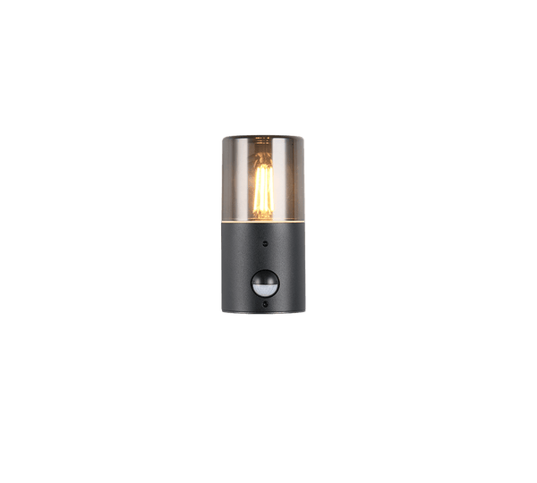 TRIO Wand lamp HOOSIC Buitenverlichting