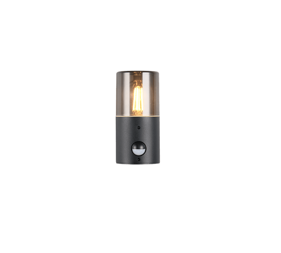 TRIO Wand lamp HOOSIC Buitenverlichting