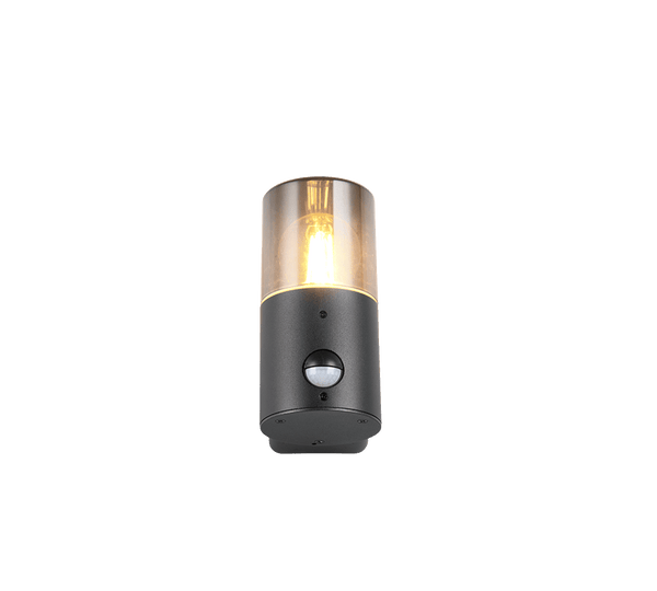TRIO Wand lamp HOOSIC Buitenverlichting