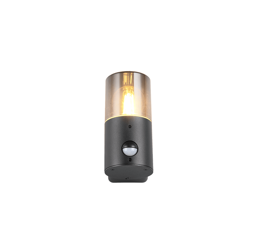 TRIO Wand lamp HOOSIC Buitenverlichting