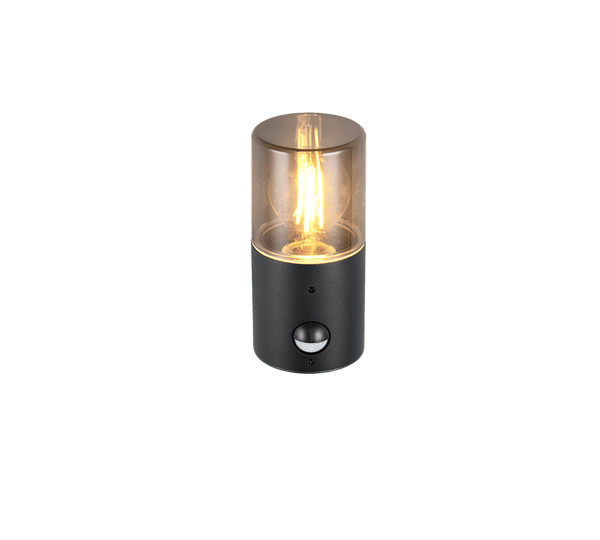 TRIO Wand lamp HOOSIC Buitenverlichting